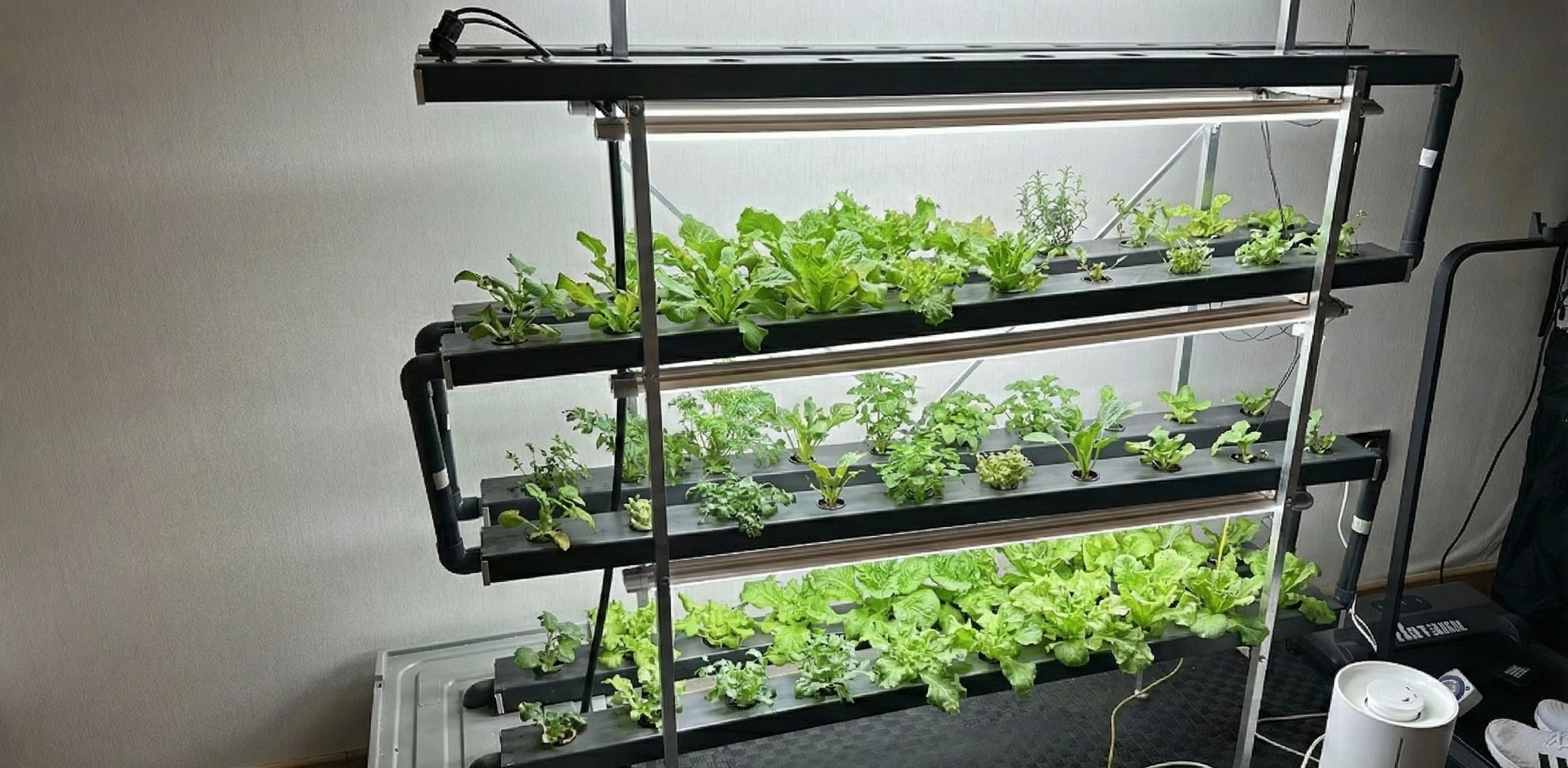 Vertifit 80 aydınlatma Modülü