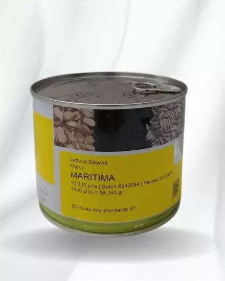 Topraksız tarım Maritima Tohumu – 50 Adet 