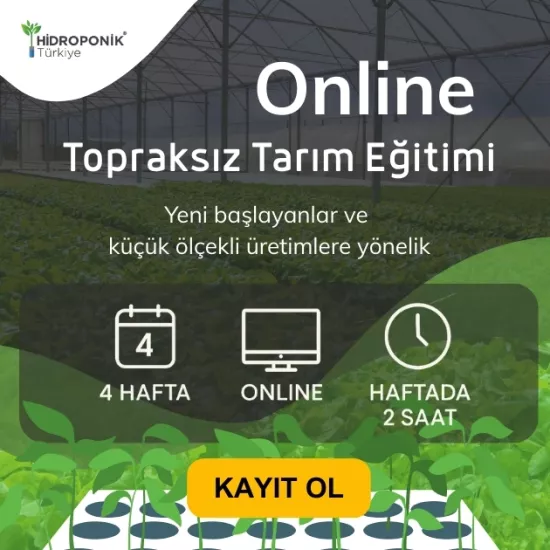 Yeni Başlayanlar İçin Topraksız Tarım Eğitimi – On