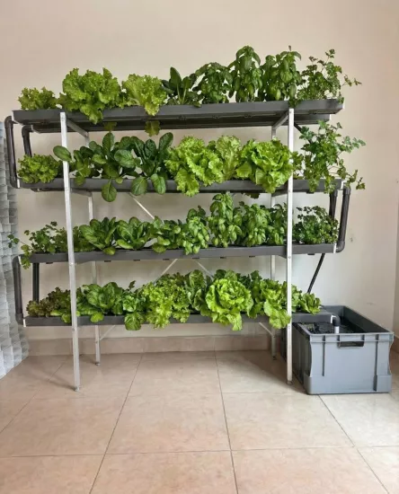 Dikey Topraksız Hobi Seti Vertifit 80 