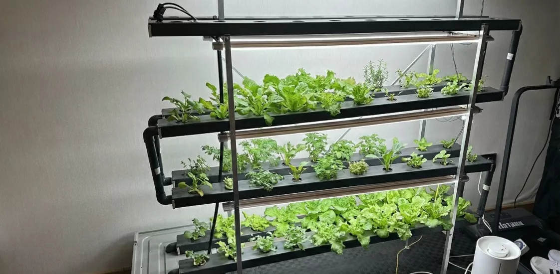 Vertifit 80 aydınlatma Modülü