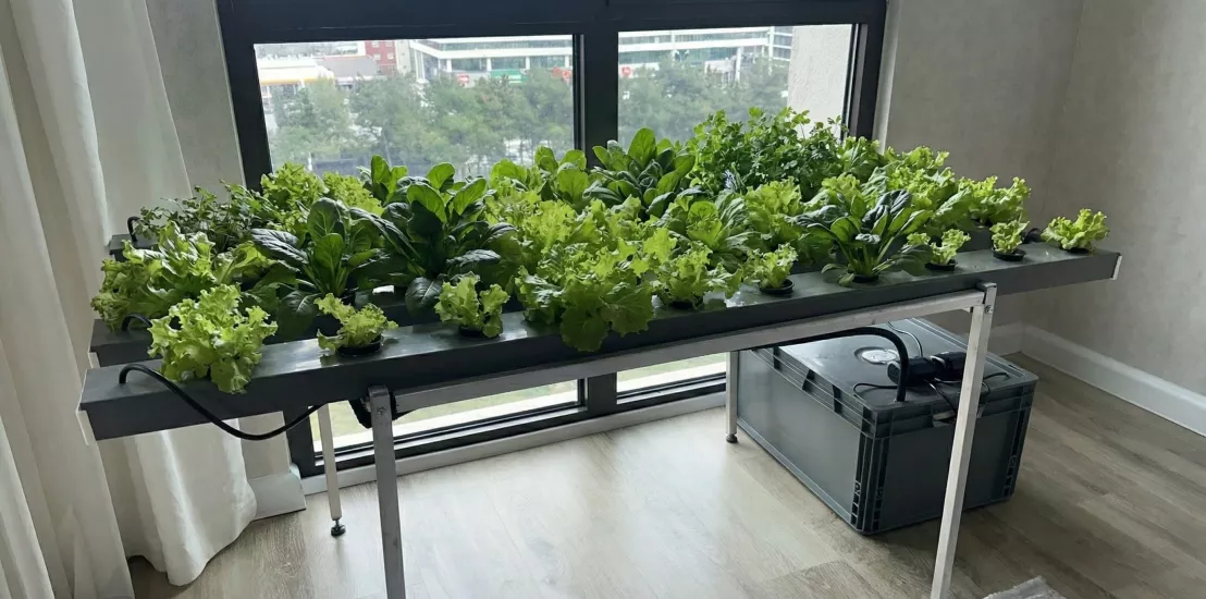 Yatay Topraksız Tarım Seti Hortifit 40 full 