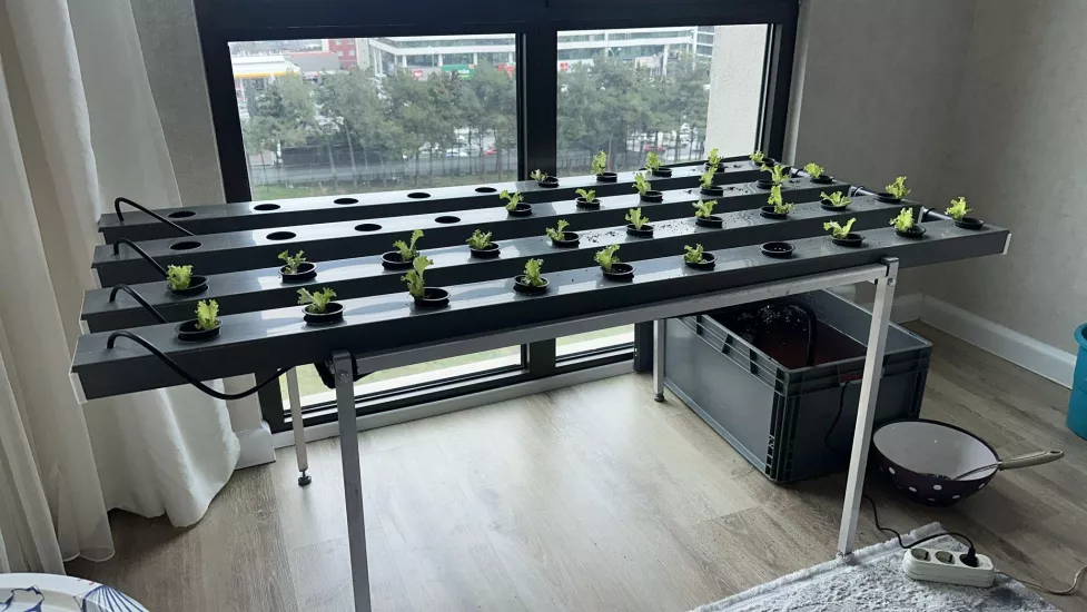 Yatay Topraksız Tarım Seti Hortifit 40 full 