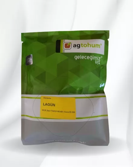 Topraksız tarım Lagun Dereotu tohumu 200 gr