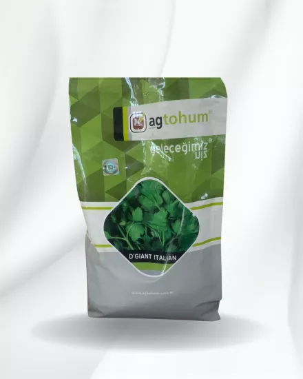 Topraksız tarım Di giant Maydonoz  – 50 gr  