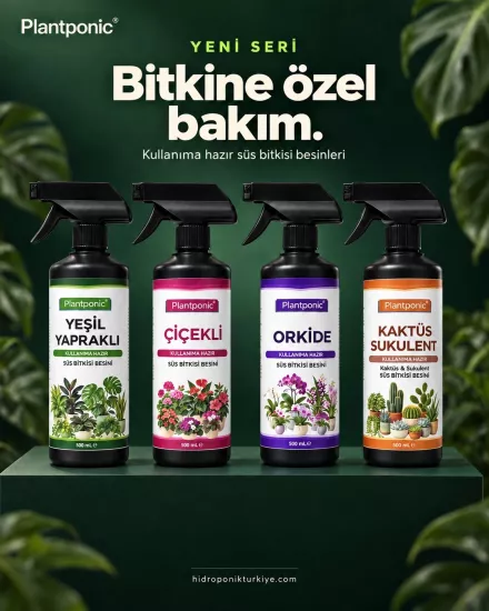 Süs Bitkisi Besini 4lü set