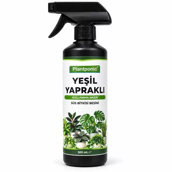 Plantponic Yeşil Yapraklı Süs Bitkisi besini