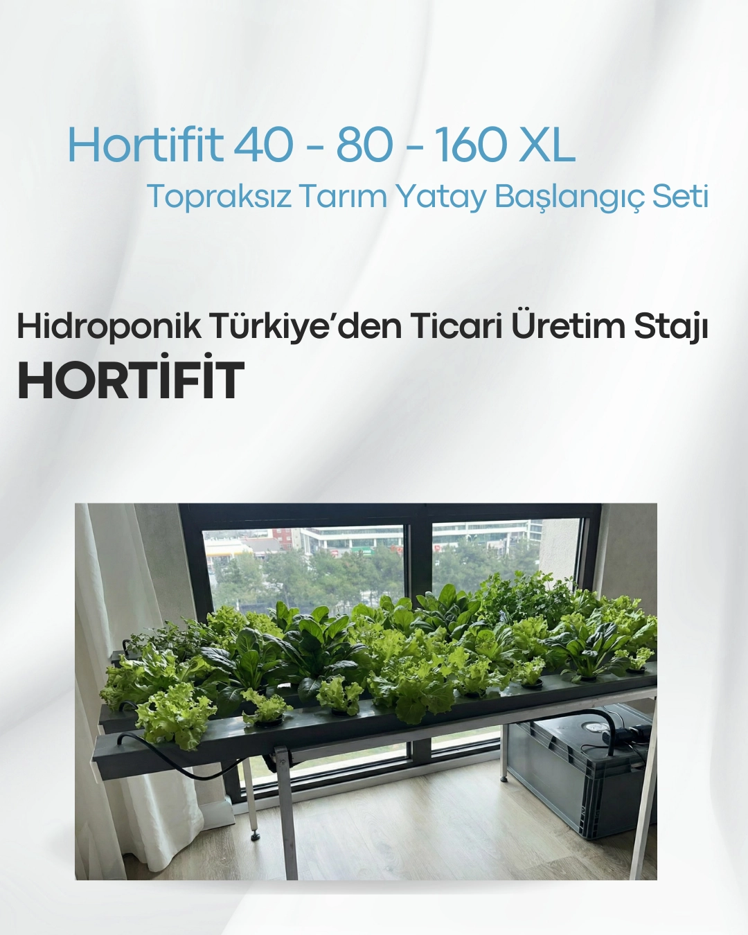 Hortifit (yatay) NFT SET